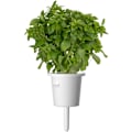 Miniatyrbillede 1 af 5: Click & Grow Plant Pod Italian Mix 9pcs