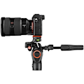 Miniatyrbillede 7 af 11: Manfrotto tripod MKBFRLA-3W Befree 3-Way Live Advanced Sony Alpha