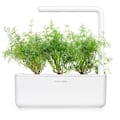 Miniatyrbilde 4 av 4: Click & Grow Smart Garden refill Dill 3pcs