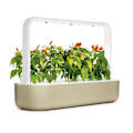 Miniatyrbillede 3 af 4: Click & Grow Smart Garden 9, beige