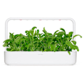 Miniatyrbilde 3 av 3: Click & Grow Smart Garden refill Mibuna 3pcs