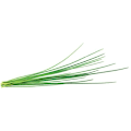 Miniatyrbilde 3 av 3: Click & Grow Smart Garden refill Chives 3pcs