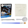 Miniatyrbillede 1 af 3: Archaeology Excavation Kit Dinosaur Skeleton Pteranodon 3D Hologram