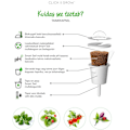 Miniatyrbilde 2 av 3: Click & Grow Smart Garden refill Parsley 3pcs