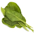 Miniatyrbillede 2 af 3: Click & Grow Smart Garden refill Green Chard 3pcs