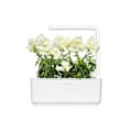Miniatyrbilde 1 av 4: Click & Grow Smart Refill White Snapdragon 3pcs