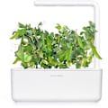 Miniatyrbilde 2 av 3: Click & Grow Smart Garden refill Dwarf Pea 3pcs