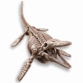 Miniatyrbillede 2 af 7: 4M craft kit "Dig a Mosasaurus skeleton"