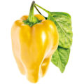 Miniatyrbilde 1 av 3: Click & Grow Smart Garden refill Yellow Sweet Pepper 3pcs