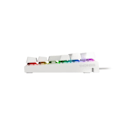 Miniatyrbillede 6 af 7: GAMING KEYBOARD GENESIS THOR 303 TKL FR RGB BACKLIGHT MECHANICAL BROWN WHITE HOT SWAP