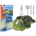 Miniatyrbillede 1 af 4: Ammonite Turtle Excavation Educational Kit