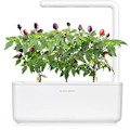 Miniatyrbillede 1 af 3: Click & Grow Smart Garden refill Purple Chili Pepper 3pcs