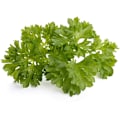 Miniatyrbilde 1 av 3: Click & Grow Smart Garden refill Parsley 3pcs