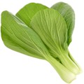 Miniatyrbillede 2 af 3: Click & Grow Smart Garden refill Pak Choi 3pcs