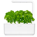 Miniatyrbilde 3 av 4: Click & Grow Smart Garden refill Basil 3pcs