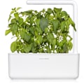 Miniatyrbilde 1 av 3: Click & Grow Smart Garden refill Lime Basil 3pcs