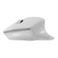 Miniatyrbilde 7 av 7: Natec | Mouse | Siskin 2 | Wireless | USB Type-A | White