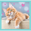 Miniatyrbillede 4 af 5: TREFL Puzzle 3 in 1 set Kittens