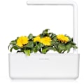 Miniatyrbillede 6 af 6: Click & Grow Smart Refill Marigold 3pcs