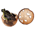 Miniatyrbillede 7 af 9: Dinosaur Figurine Egg 3 Colors 9 cm