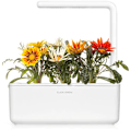 Miniatyrbillede 3 af 4: Click & Grow Smart Refill Gasania 3pcs