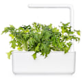 Miniatyrbilde 2 av 4: Click & Grow Smart Refill Mizuna 3pcs