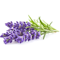 Miniatyrbillede 1 af 3: Click & Grow Smart Garden refill Lavender 3pcs