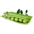 Miniatyrbilde 1 av 3: Click & Grow Smart Garden refill Dwarf Pea 3pcs