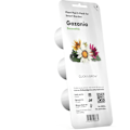 Pikkukuva 2 / 4: Click & Grow Smart Refill Gasania 3pcs