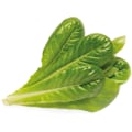 Miniatyrbilde 2 av 3: Click & Grow Smart Garden refill Romaine Lettuce 3pcs