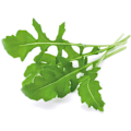 Miniatyrbilde 4 av 4: Click & Grow Smart Garden refill Arugula 3pcs