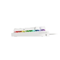 Miniatyrbillede 6 af 8: GAMING KEYBOARD GENESIS THOR 303 FR RGB BACKLIGHT MECHANICAL BROWN SWITCH WHITE HOT SWAP