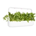 Miniatyrbillede 1 af 3: Click & Grow Smart Garden refill Green Chard 3pcs