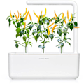 Miniatyrbillede 2 af 3: Click & Grow Smart Garden refill Yellow Chili 3pcs