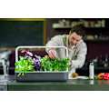 Miniatyrbillede 2 af 3: Click & Grow Smart Garden 9, grey