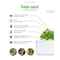 Miniatyrbillede 3 af 4: Click & Grow Smart Garden refill Cress 3pcs