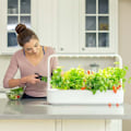 Miniatyrbilde 1 av 4: Click & Grow Smart Garden 9, beige