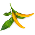 Miniatyrbillede 3 af 3: Click & Grow Smart Garden refill Yellow Chili 3pcs