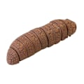Pikkukuva 4 / 4: Infrared Caterpillar Avoids Obstacles Brown