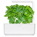 Miniatyrbillede 2 af 3: Click & Grow Smart Garden refill Marseille Basil 3pcs