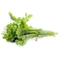 Pikkukuva 5 / 5: Click & Grow Smart Garden refill Shungiku 3pcs