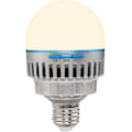 Miniatyrbillede 10 af 11: Nanlite PavoBulb 10C 1 Light Kit