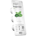 Pikkukuva 2 / 3: Click & Grow Smart Garden refill Peppermint 3pcs