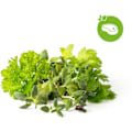 Miniatyrbilde 1 av 5: Click & Grow Plant Pod Steak Mix 9pcs