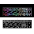 Miniatyrbillede 2 af 5: A4Tech FSTYLER FX60H (Neon Backlit) keyboard USB QWERTY Black, Grey