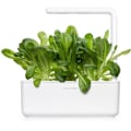 Miniatyrbilde 1 av 3: Click & Grow Smart Garden refill Romaine Lettuce 3pcs