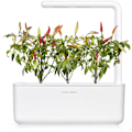 Miniatyrbillede 2 af 4: Click & Grow Smart Garden refill Red Hot Chili Pepper 3pcs