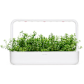 Miniatyrbillede 1 af 3: Click & Grow Smart Garden refill Mountain Savory 3pcs
