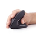 Pikkukuva 5 / 5: Gembird MUSW-ERGO-01 Ergonomic Wireless Black