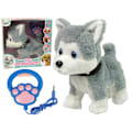 Miniatyrbillede 1 af 5: Plush Dog Interactive Educational Leash Songs Walks